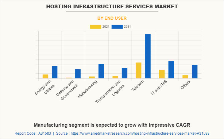 Hosting Infrastructure Services Market by End User