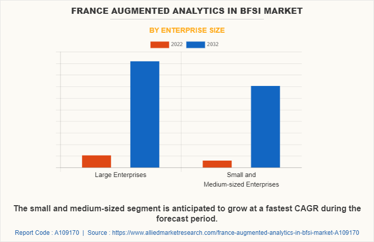 France Augmented Analytics in BFSI Market by Enterprise Size