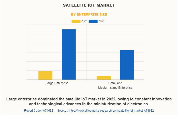 Satellite IoT Market by Enterprise Size