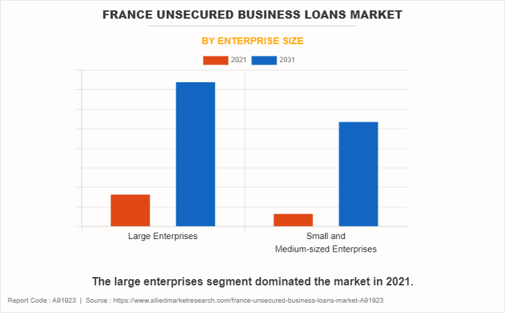France Unsecured Business Loans Market by Enterprise Size