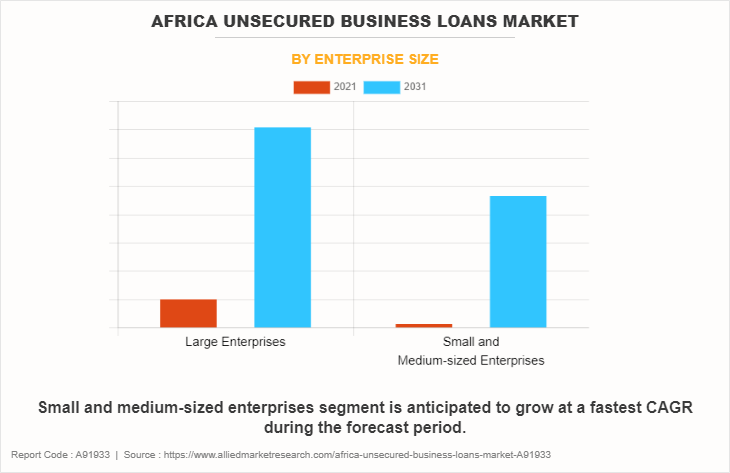 Africa Unsecured Business Loans Market by Enterprise Size