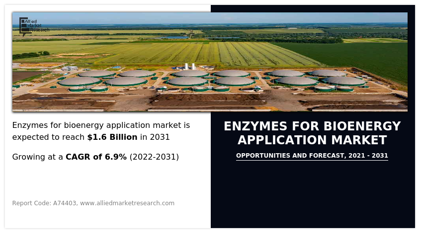 Enzymes For Bioenergy Application Market