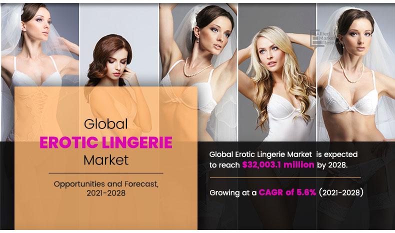 Erotic-Lingerie-Market