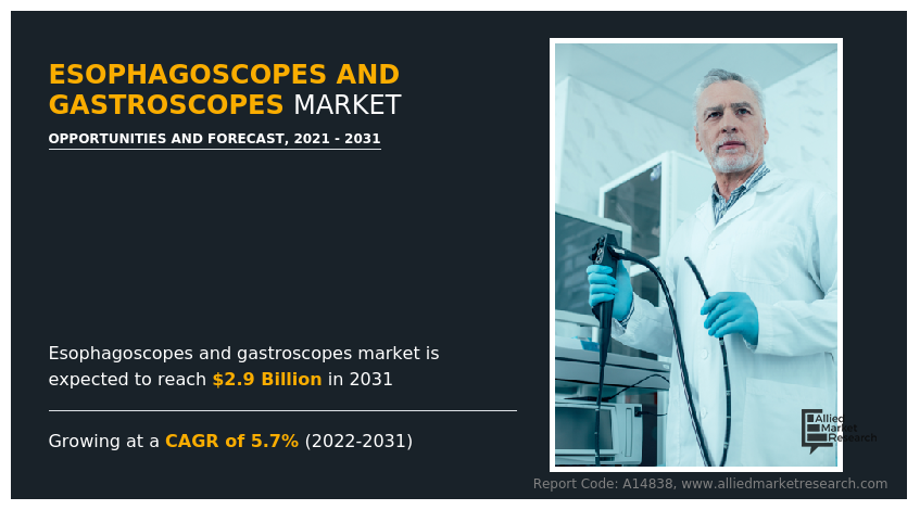 Esophagoscopes and Gastroscopes Market