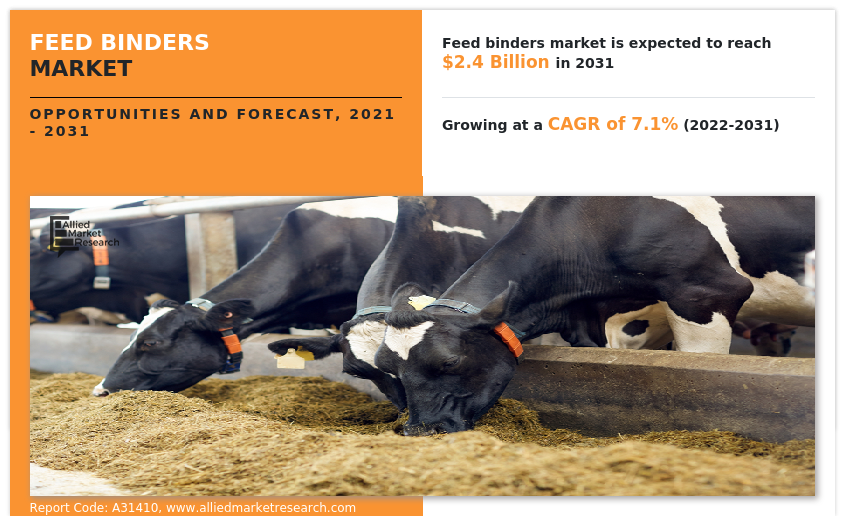 Feed Binders Market