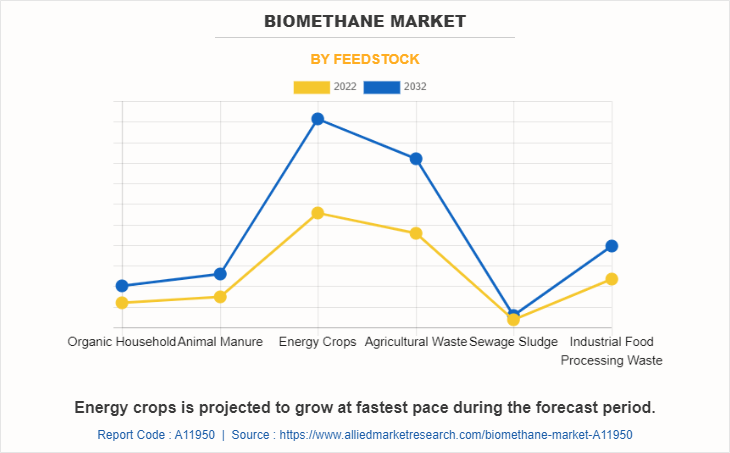 Biomethane Market by Feedstock