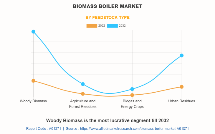 Biomass Boiler Market by Feedstock Type