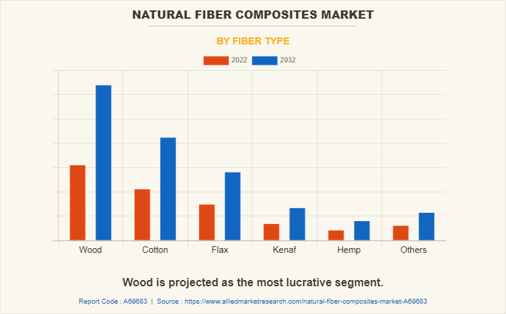 Natural Fiber Composites Market by Fiber Type