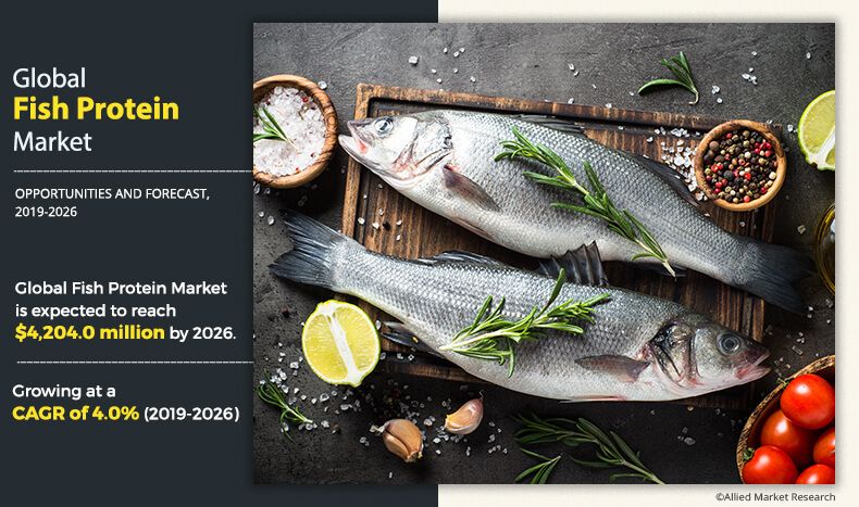 Fish Protein Market	