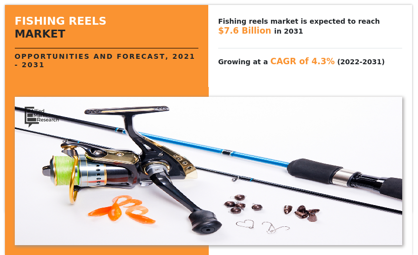Fishing Reels Market Size , Share , Growth Industry analysis 2031