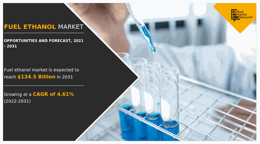 Fuel Ethanol Market, Fuel Ethanol Industry, Fuel Ethanol Market Size, Fuel Ethanol Market Share, Fuel Ethanol Market Forecast, Fuel Ethanol Market Analysis, Fuel Ethanol Market Trends, Fuel Ethanol Market Growth, Fuel Ethanol Market Opportunities