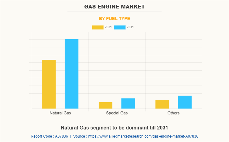 Gas Engine Market by Fuel Type
