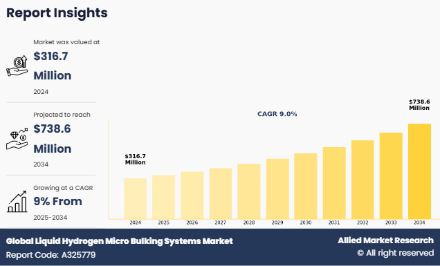 Global Liquid Hydrogen Micro Bulking Systems Market