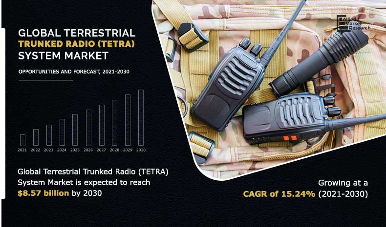 Terrestrial Trunked Radio (TETRA) System Market Insights