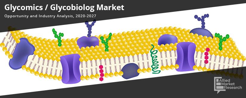 Glycomics--Glycobiolog	