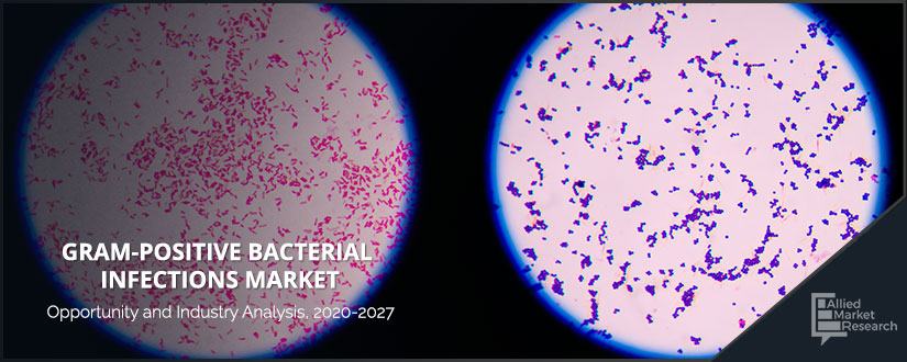 Gram-positive-Bacterial-Infections
