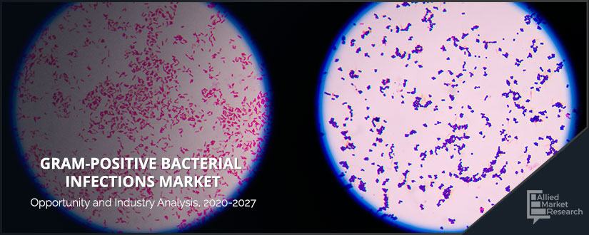 Gram-positive-Bacterial-Infections	