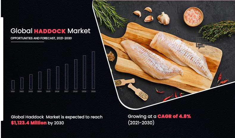 Haddock-Market,-2021-2030