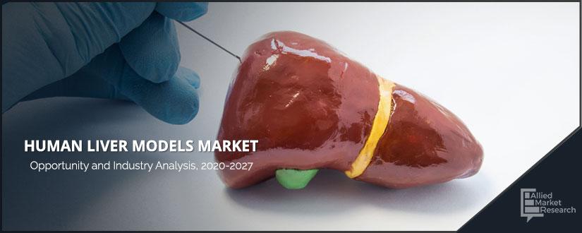 Human-Liver-Models-Market