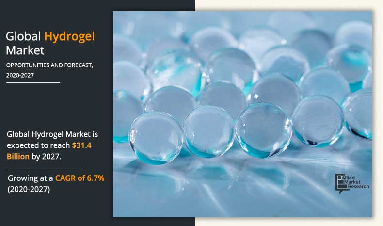 Hydrogel Market	