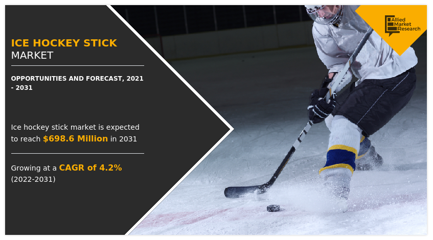 Ice Hockey Stick Market, Ice Hockey Stick Industry, Ice Hockey Stick Market Size, Ice Hockey Stick Market Share, Ice Hockey Stick Market Trends