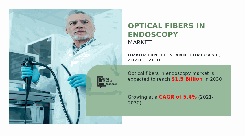 Optical Fibers in Endoscopy Market, Optical Fibers in Endoscopy Market Size, Optical Fibers in Endoscopy Market Share, Optical Fibers in Endoscopy Market Analysis, Optical Fibers in Endoscopy Market Opportunity, Optical Fibers in Endoscopy Market Trends, Optical Fibers in Endoscopy Market Forecast