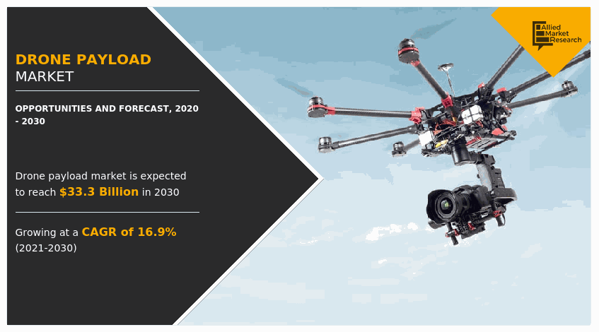 Drone Payload Market, Drone Payload Industry