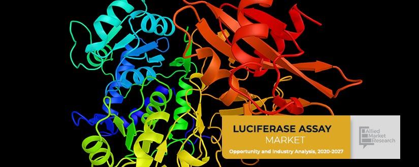 Luciferase-Assay