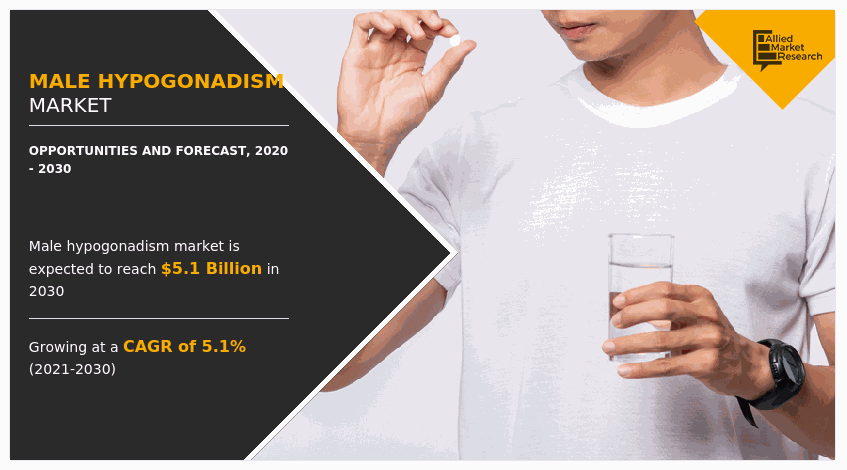 Male Hypogonadism Market, Male Hypogonadism Market size, Male Hypogonadism Market share, Male Hypogonadism Market trends, Male Hypogonadism Market forecast, Male Hypogonadism Market analysis, Male Hypogonadism Market growth, Male Hypogonadism Market opportunity