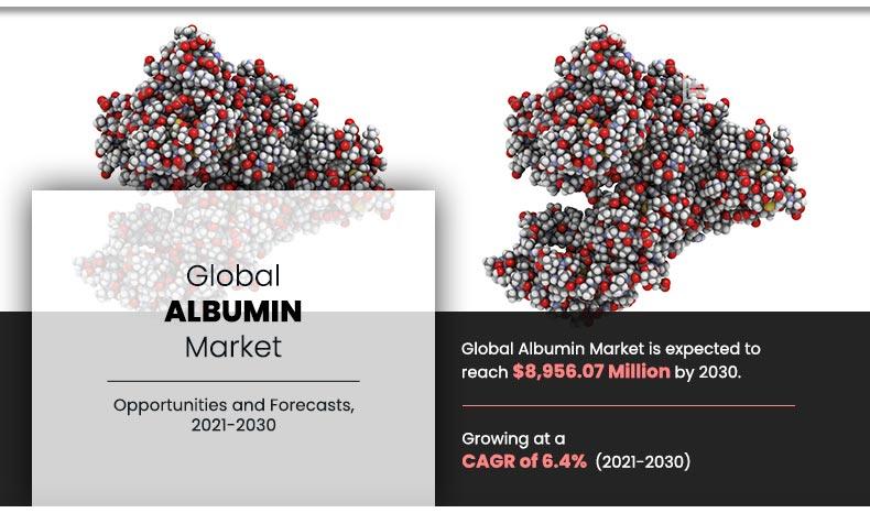 Market Infographics _Global Albumin Market	
