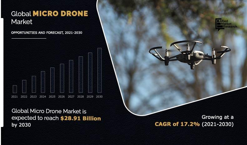 Micro Drone Market Growth By 2030