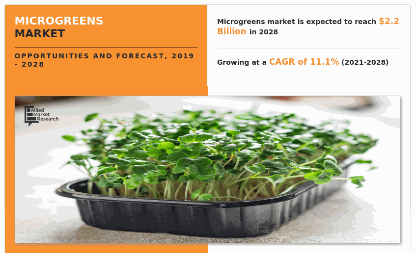 Microgreens Market, Microgreens Industry, Microgreens Market Size, Microgreens Market Share, Microgreens Market Trends