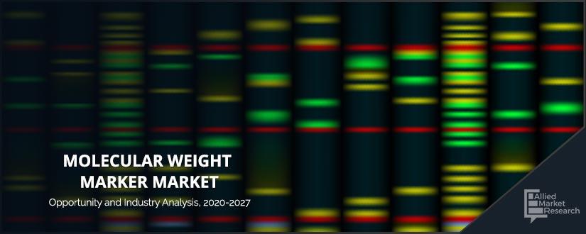 Molecular-Weight-Marker	