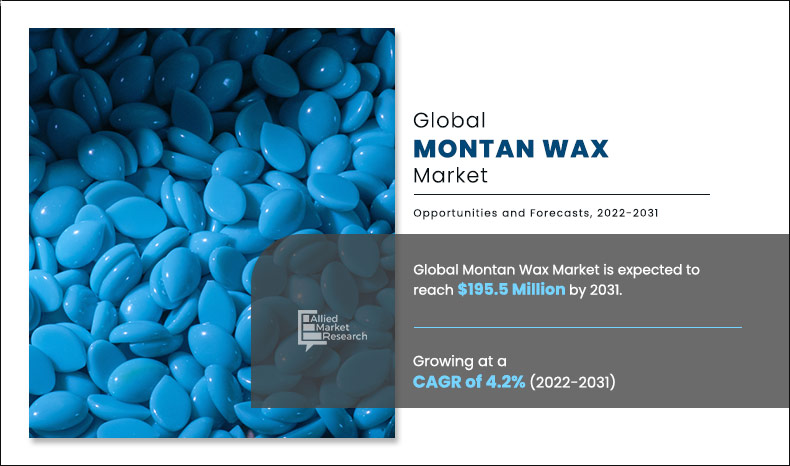 Montan Wax Market Size, Share Foreccast 2031