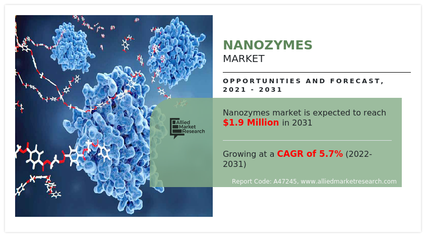 Nanozymes Market Size Share Trend