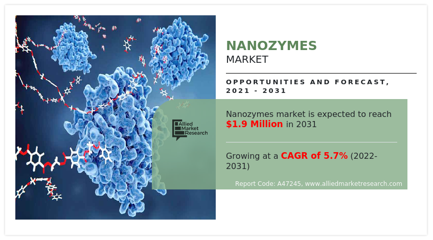 Nanozymes Market
