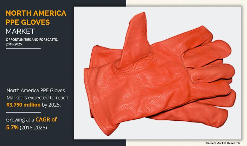 North America PPE Gloves Market	
