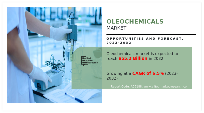 Oleochemicals Market