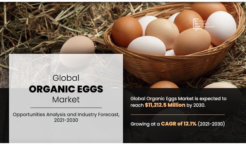 Organic-Eggs-Market