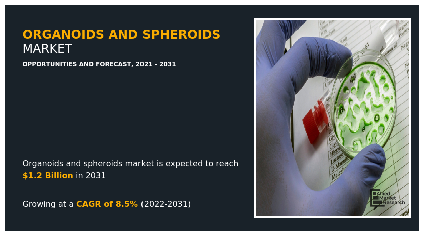 Organoids and Spheroids Market, Organoids and Spheroids Market size, Organoids and Spheroids Market share, Organoids and Spheroids Market trends, Organoids and Spheroids Market growth, Organoids and Spheroids Market analysis, Organoids and Spheroids Market forecast, Organoids and Spheroids Market opportunity