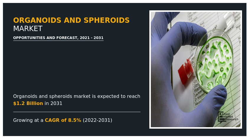 Organoids and Spheroids Market Infographics 2031