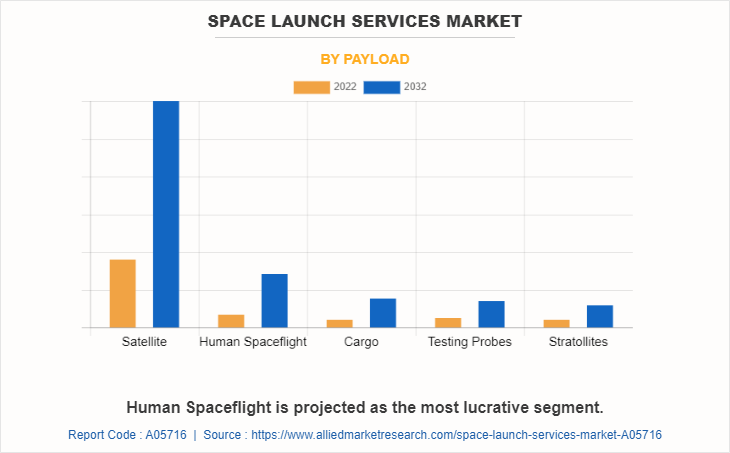 Space Launch Services Market by Payload