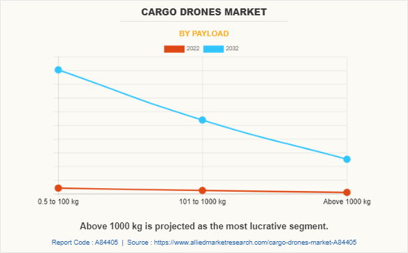 Cargo Drones Market by Payload