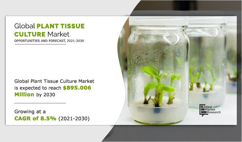 Plant-Tissue-Culture-Market--2021-2030	