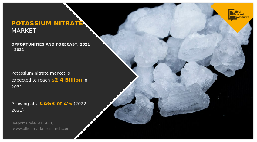 Potassium Nitrate Market