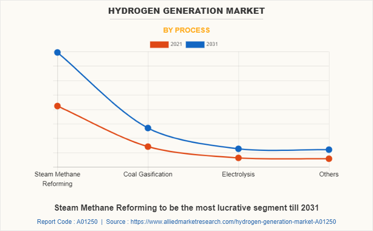 Hydrogen Generation Market by Process