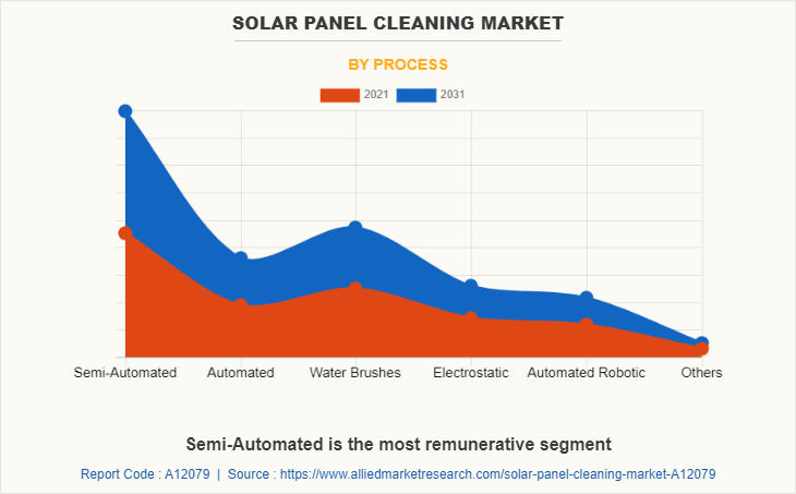 Solar Panel Cleaning Market by Process