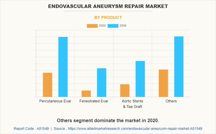 Endovascular Aneurysm Repair Market by Product