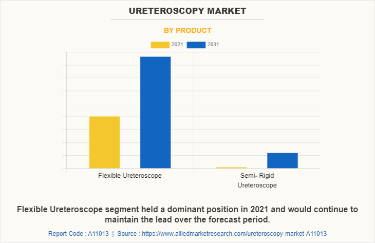 Ureteroscopy Market by Product