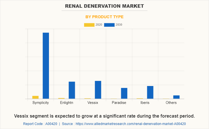 Renal Denervation Market by Product Type